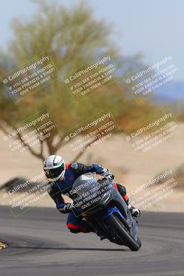 media/Nov-05-2022-SoCal Trackdays (Sat) [[f8d9b725ab]]/Turn 4 Tree of Life (125pm)/